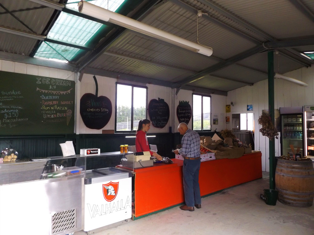 Huon Bikes-Huonville必去景点