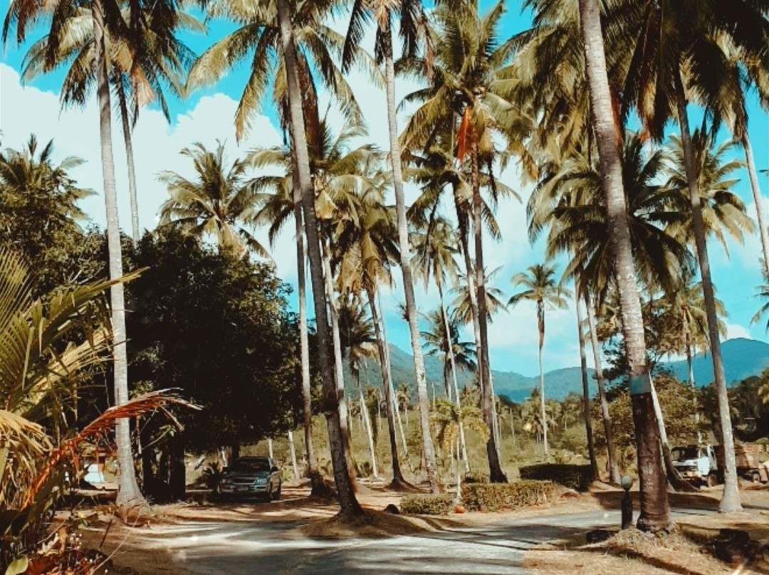 暹罗升级水上运动-象岛必去景点