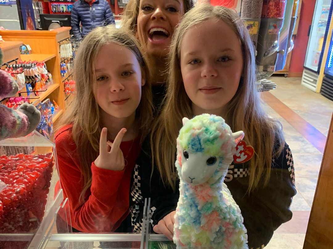 Wilderness at the Smokies-塞维尔维尔必去景点