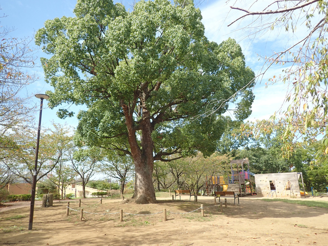 Kashiwafurusato Park-柏市必去景点