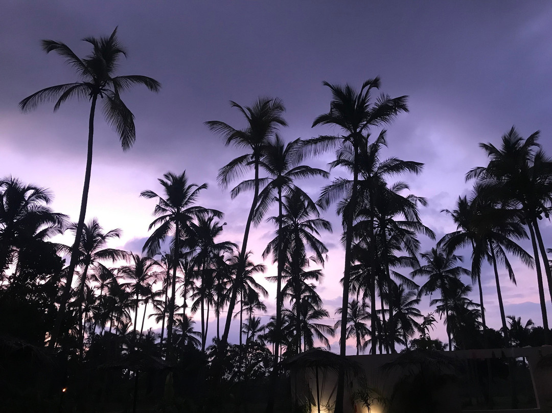 Palm Hotel Sri Lanka主图