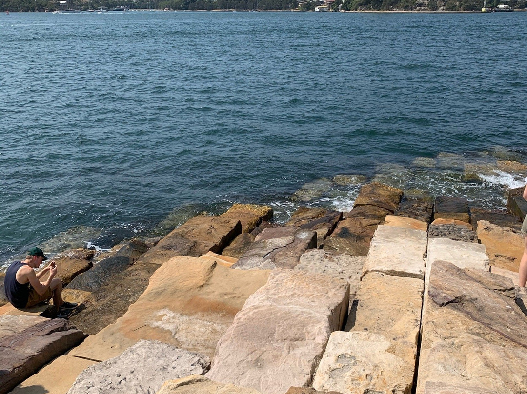 Barangaroo Reserve景点图片