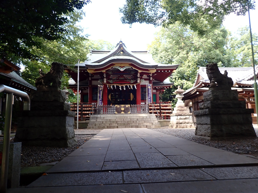 Minamisawa Hikawa Shrine景点图片