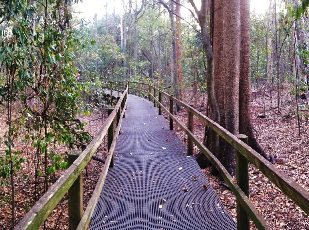 Wingham Brush Nature Reserve-温厄姆必去景点