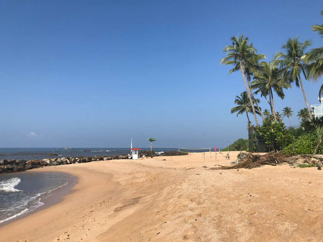 Rosa Shashi Cabanas主图