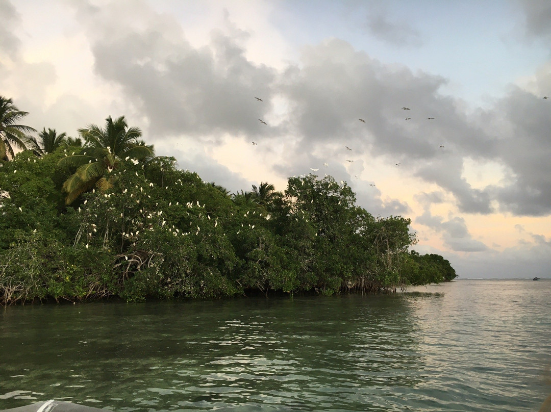 Ti'bulles-Grand Bourg必去景点