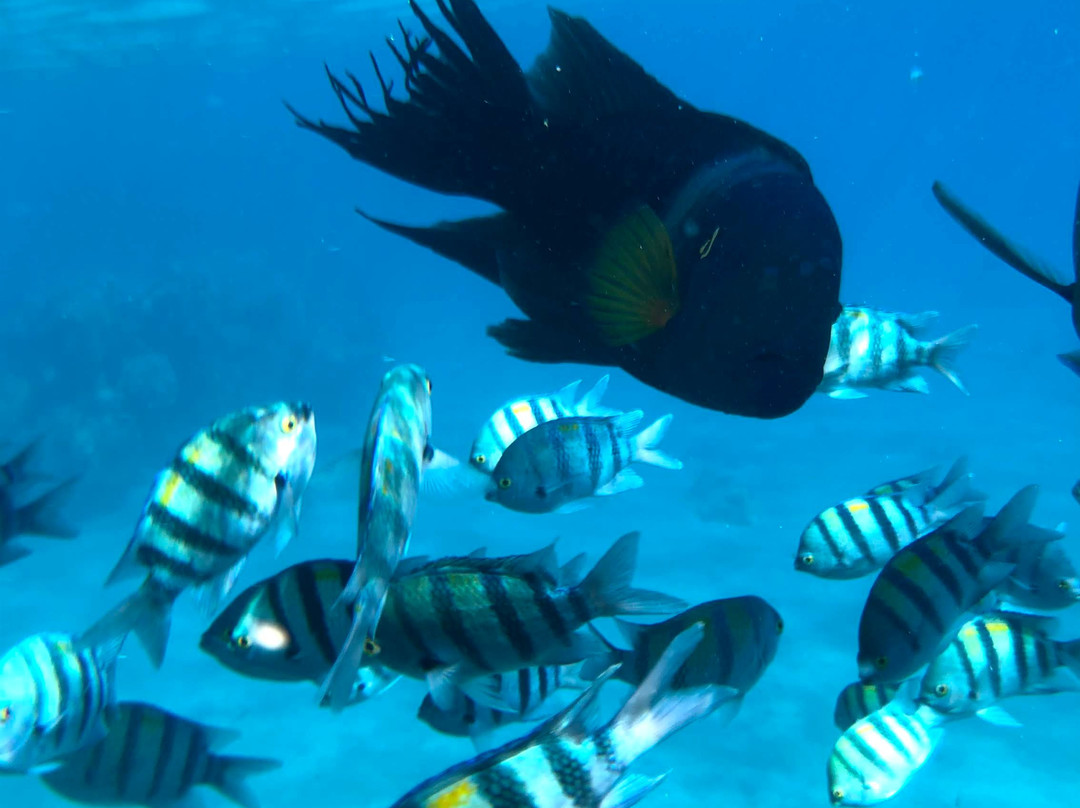 Princess Beach-埃拉特必去景点