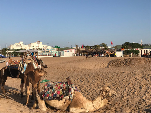 Lima Dromadaire-索维拉必去景点