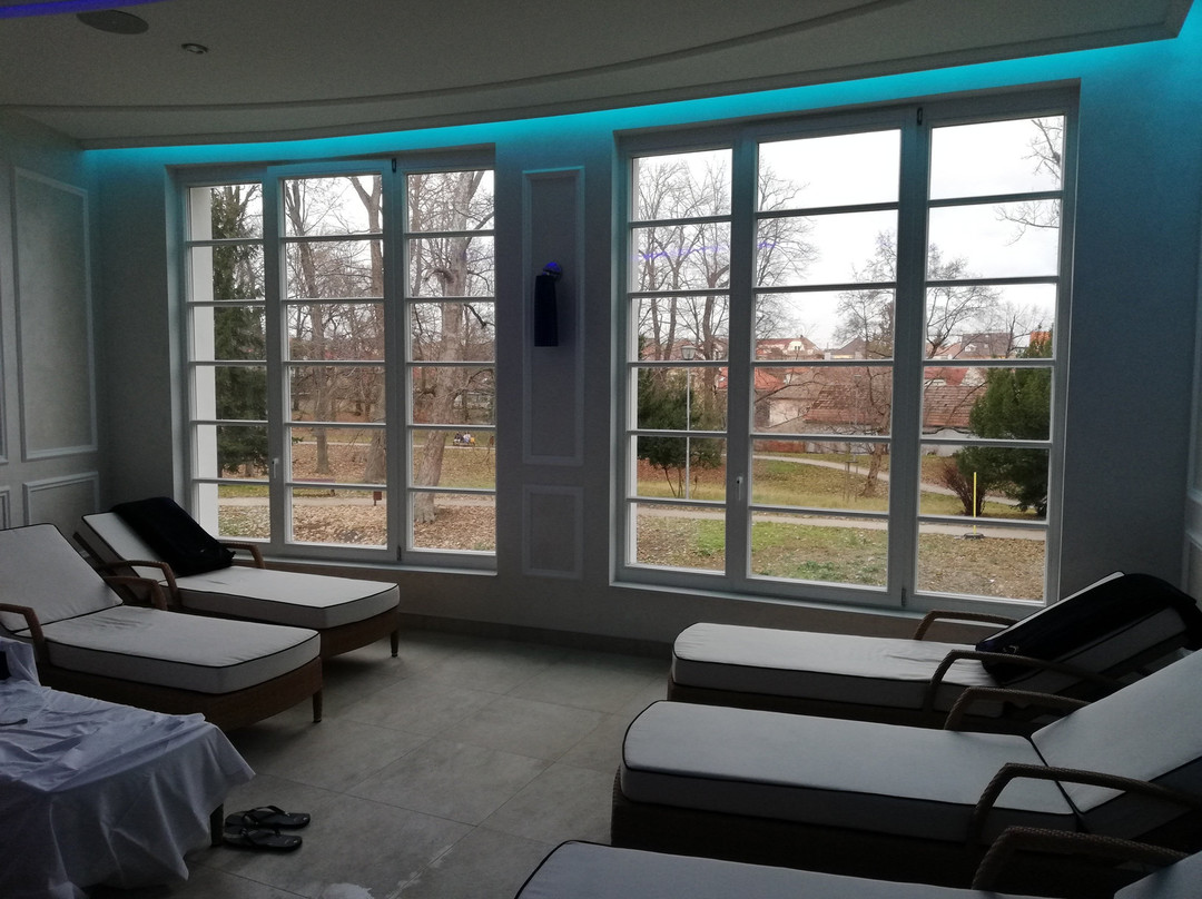 Palace Art Hotel Pezinok主图