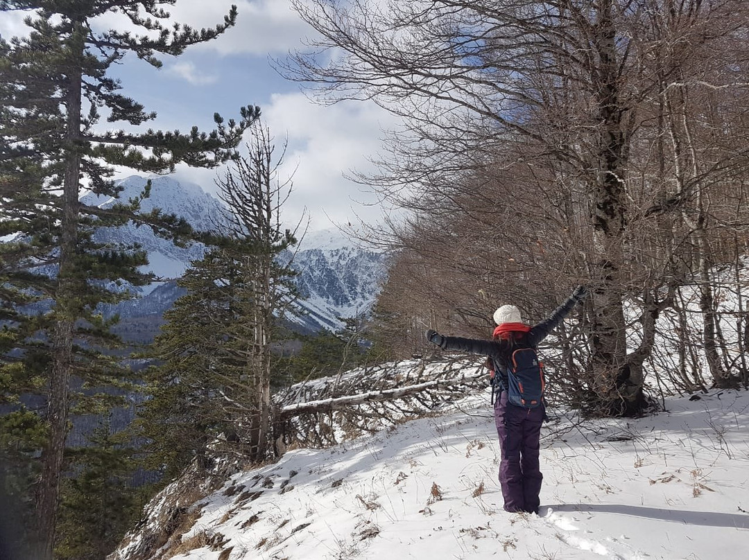 Valbona Valley National Park景点图片