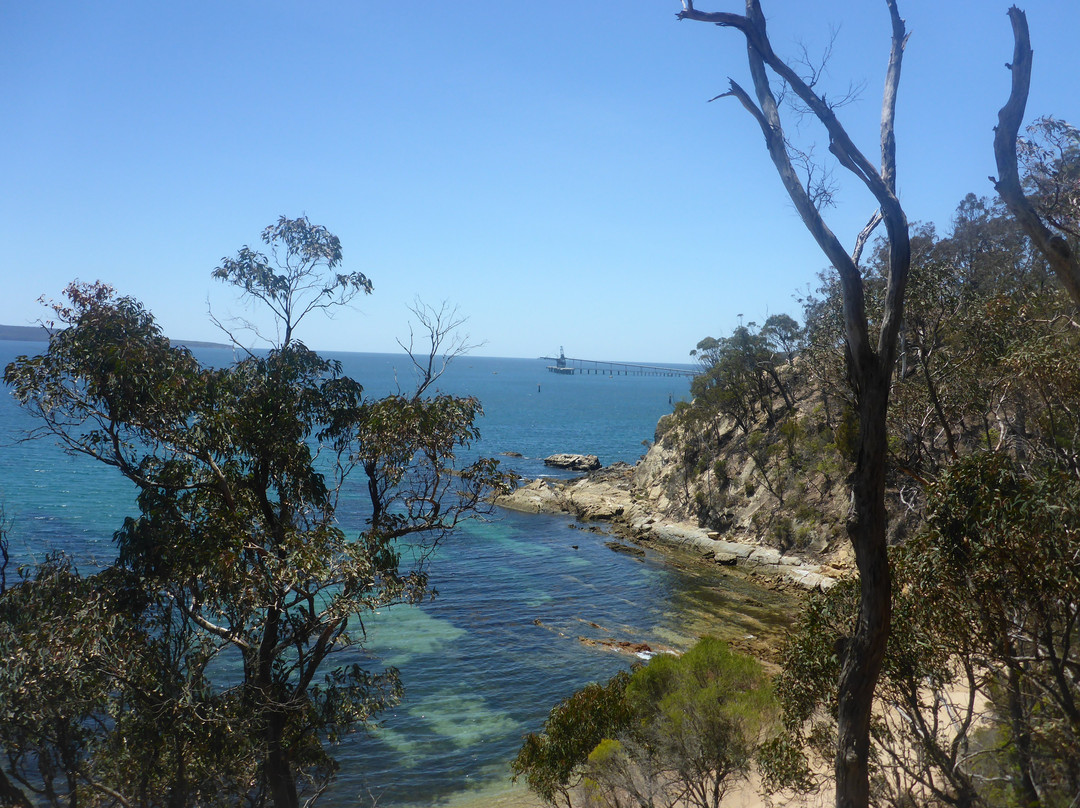 Davidson Whaling Station-伊登港必去景点