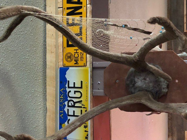 Tonsina River Lodge主图