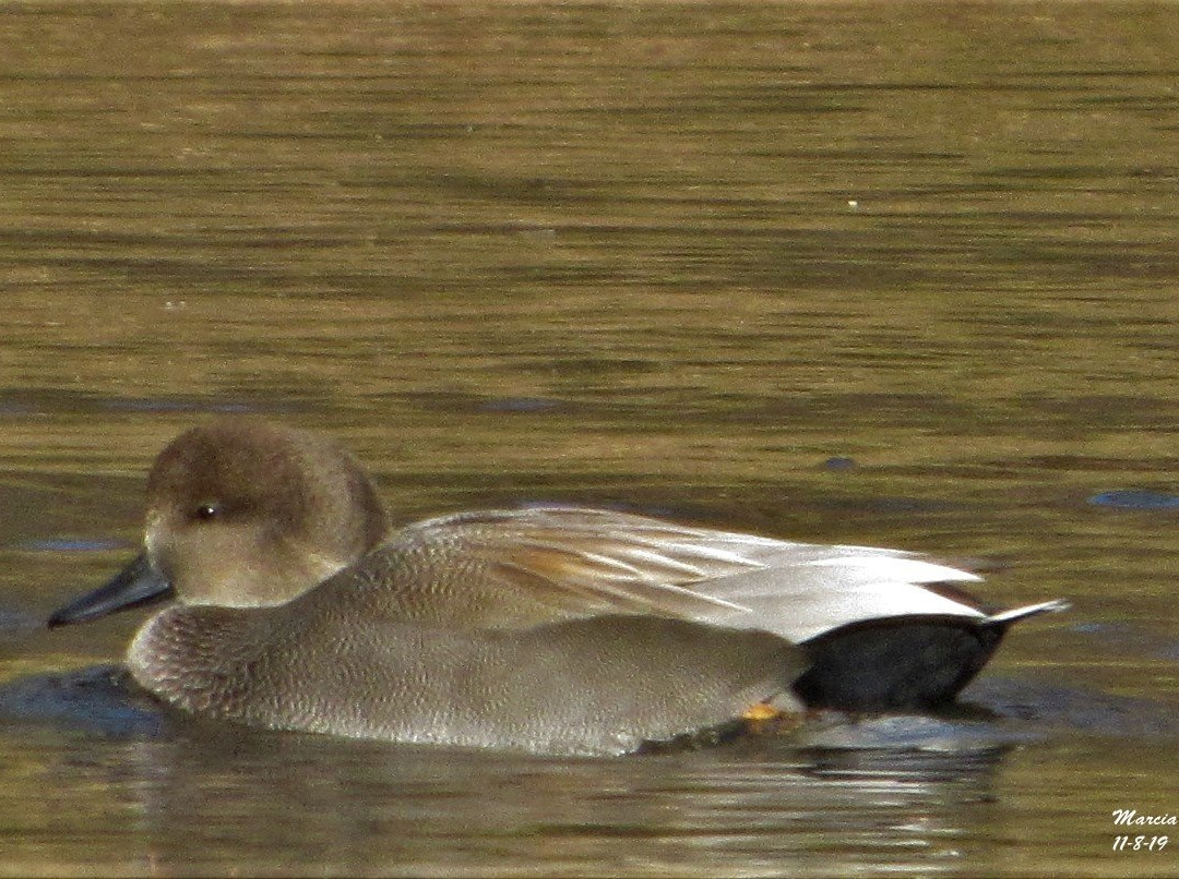 Fort Totten Park-Bayside必去景点