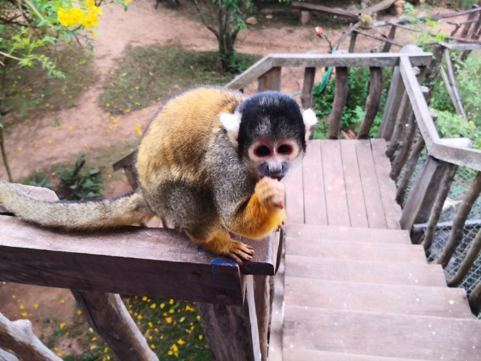 Refugio Zoologico-Samaipata必去景点