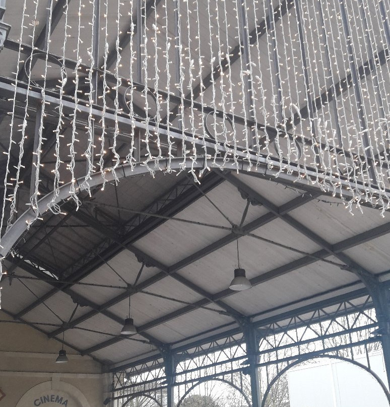 Espace culturel le Palace景点图片