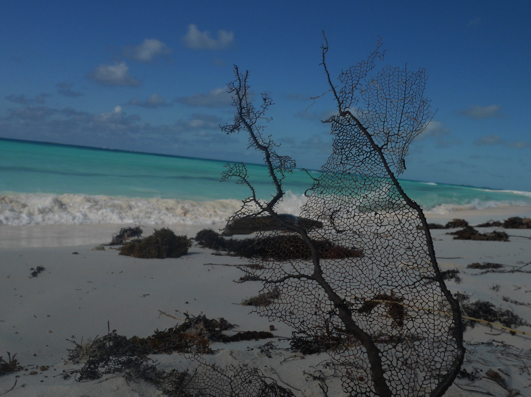 Playa Mal Tiempo景点图片
