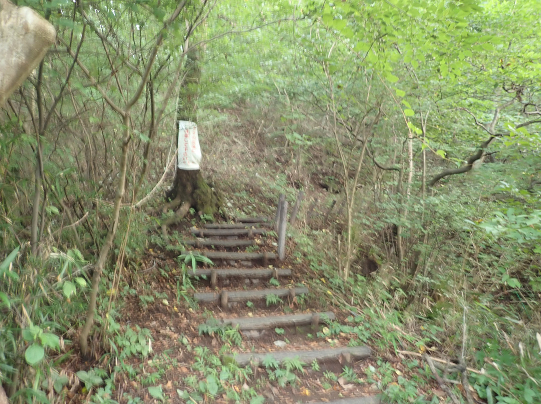 Asao Falls Nature Park-安中市必去景点