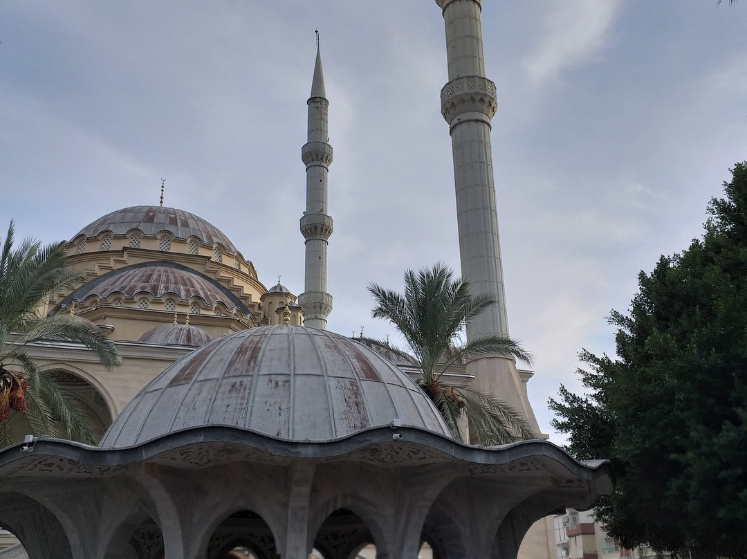 Manavgat Mosque景点图片