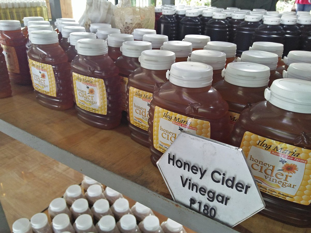 Ilog Maria Honeybee Farm-吕宋岛必去景点