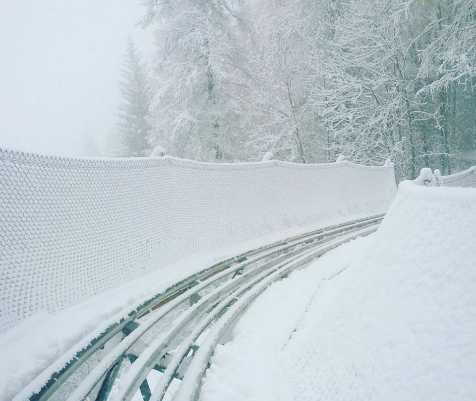 Bardonecchia Alpine Coaster景点图片