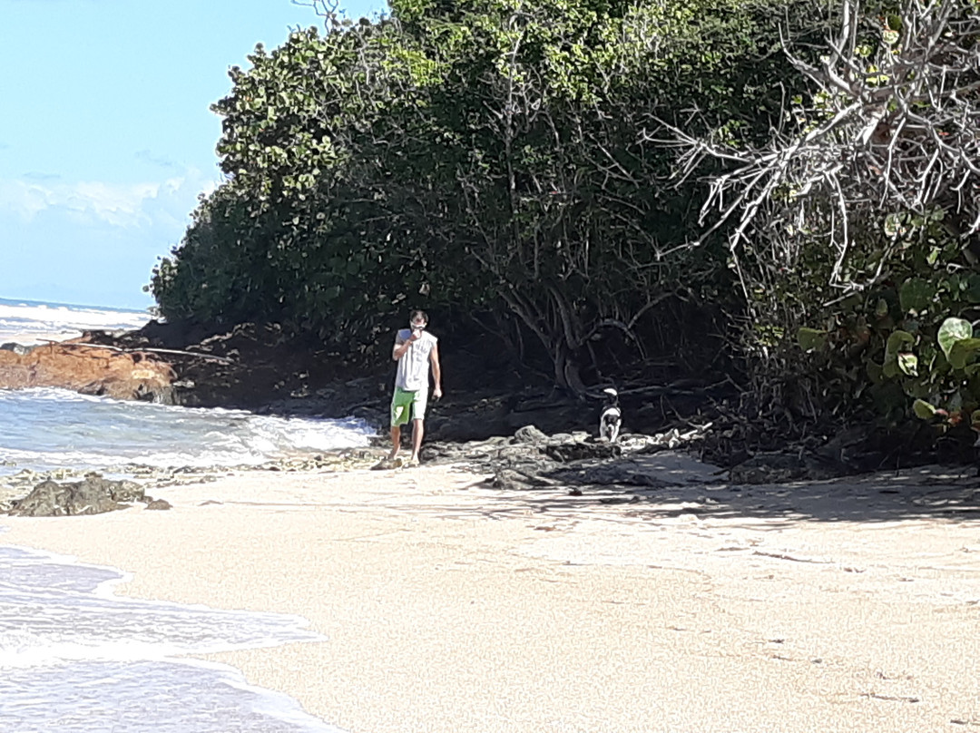 Isabel Segunda-维切克岛必去景点