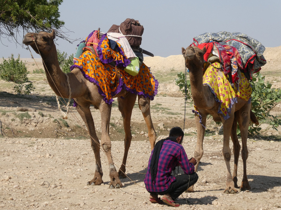 Jaisalmer Moon Safari-杰伊瑟尔梅尔必去景点