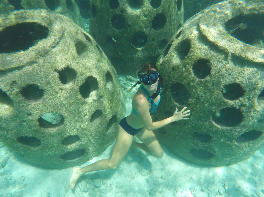 Freedivewithme-普罗维登西亚莱斯必去景点