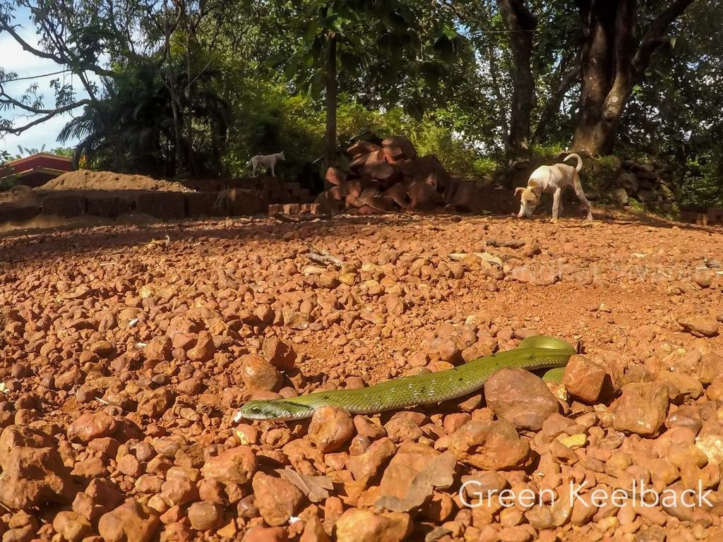 Garva Agro Tourism主图