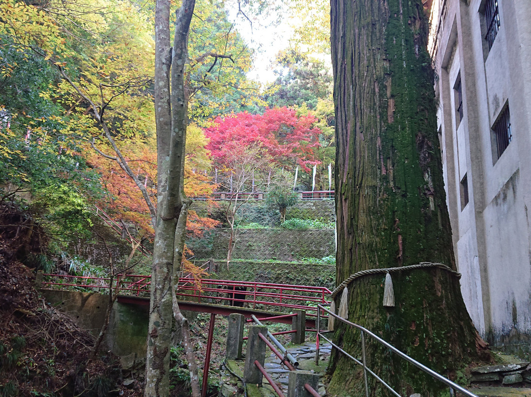 Senryuji Temple-四国中央市必去景点