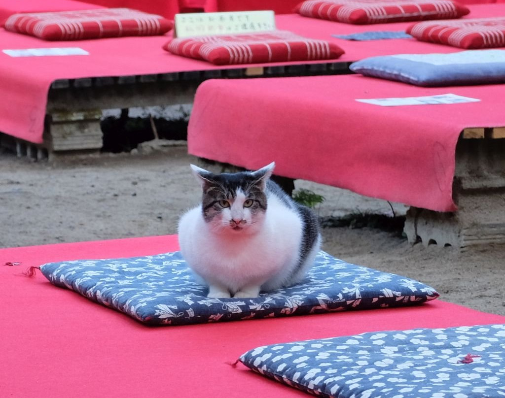 Buttsu-ji Temple-三原市必去景点