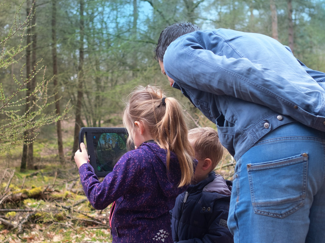 The Nature Game-Spier必去景点
