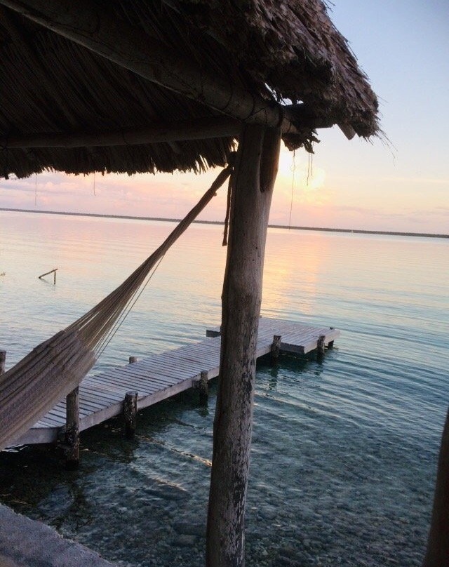 Agave Blue Bacalar主图