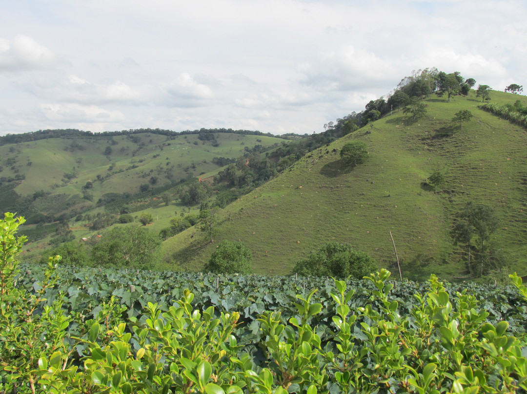 Vinhos Colinas da Mantiqueira-Bueno Brandao必去景点