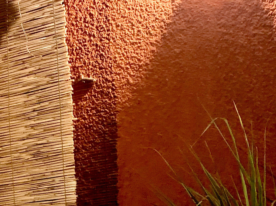 Hotel les Palmiers主图