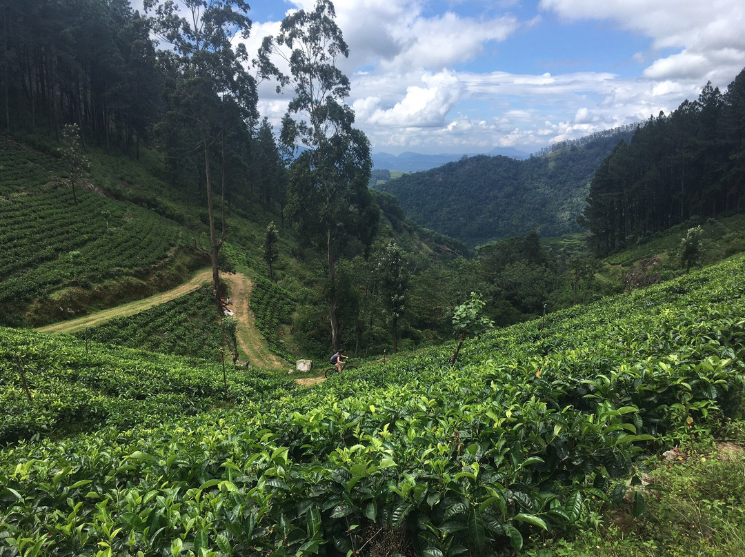 Cycle Tour Sri Lanka景点图片