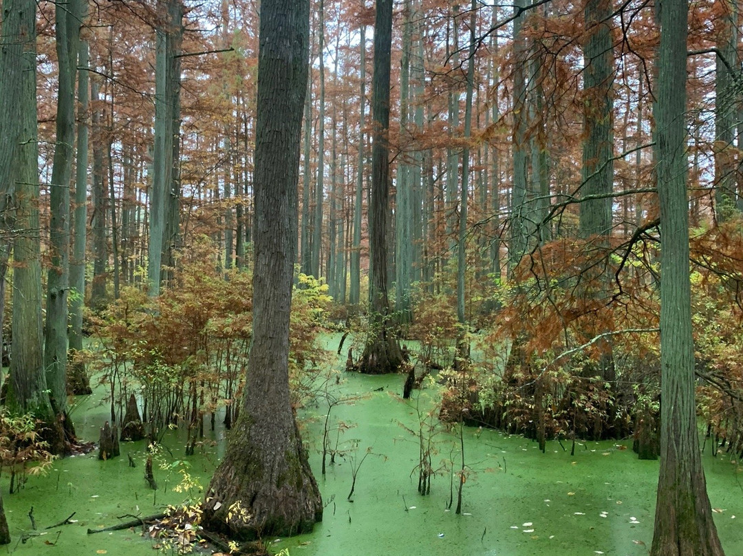Heron Pond Preserve-Belknap必去景点