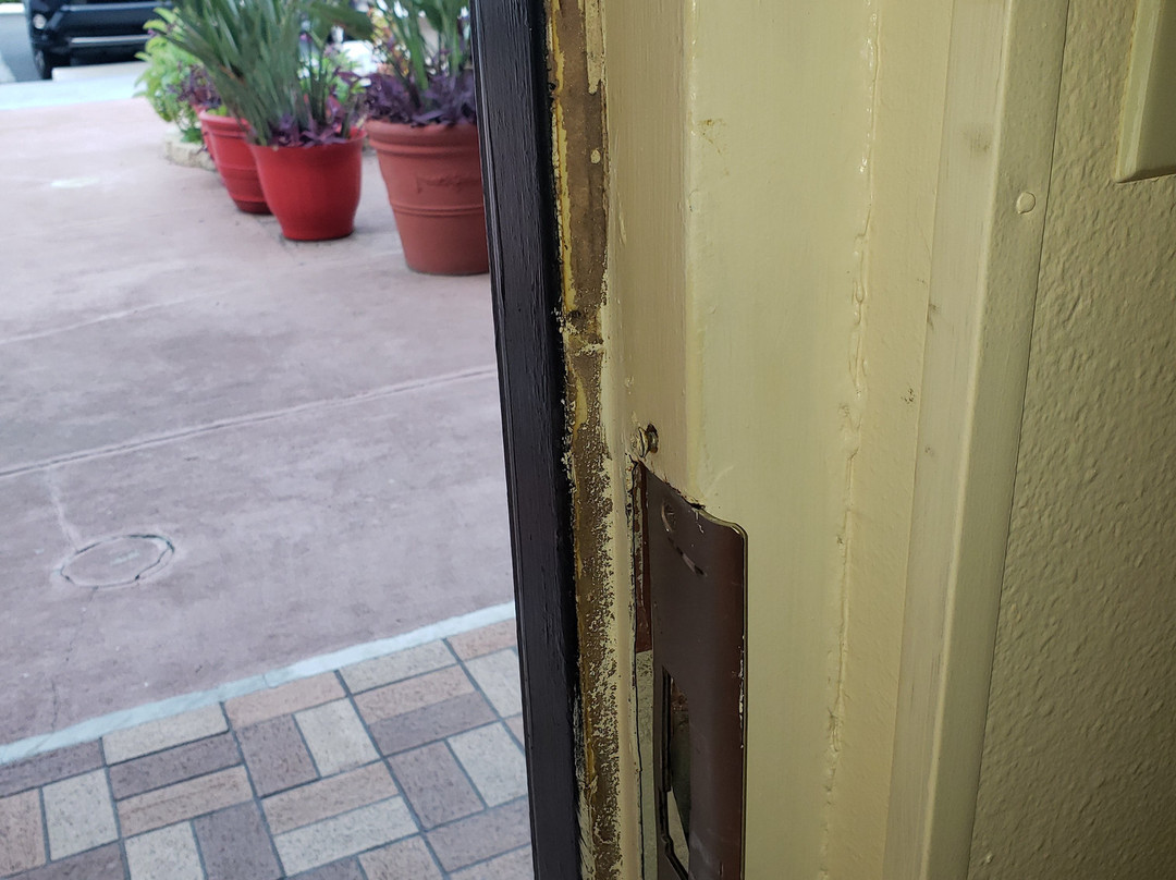 Quality Inn Near Manatee Springs State Park主图