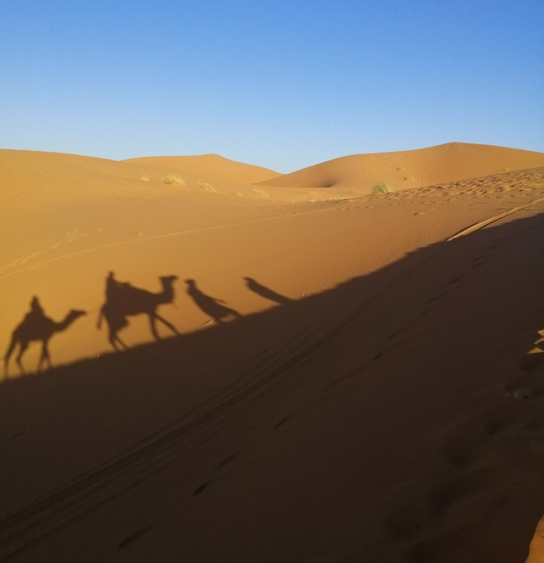 Berbere Experience Day Tours-梅如卡必去景点