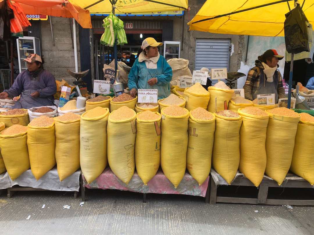 El Alto Market-El Alto必去景点