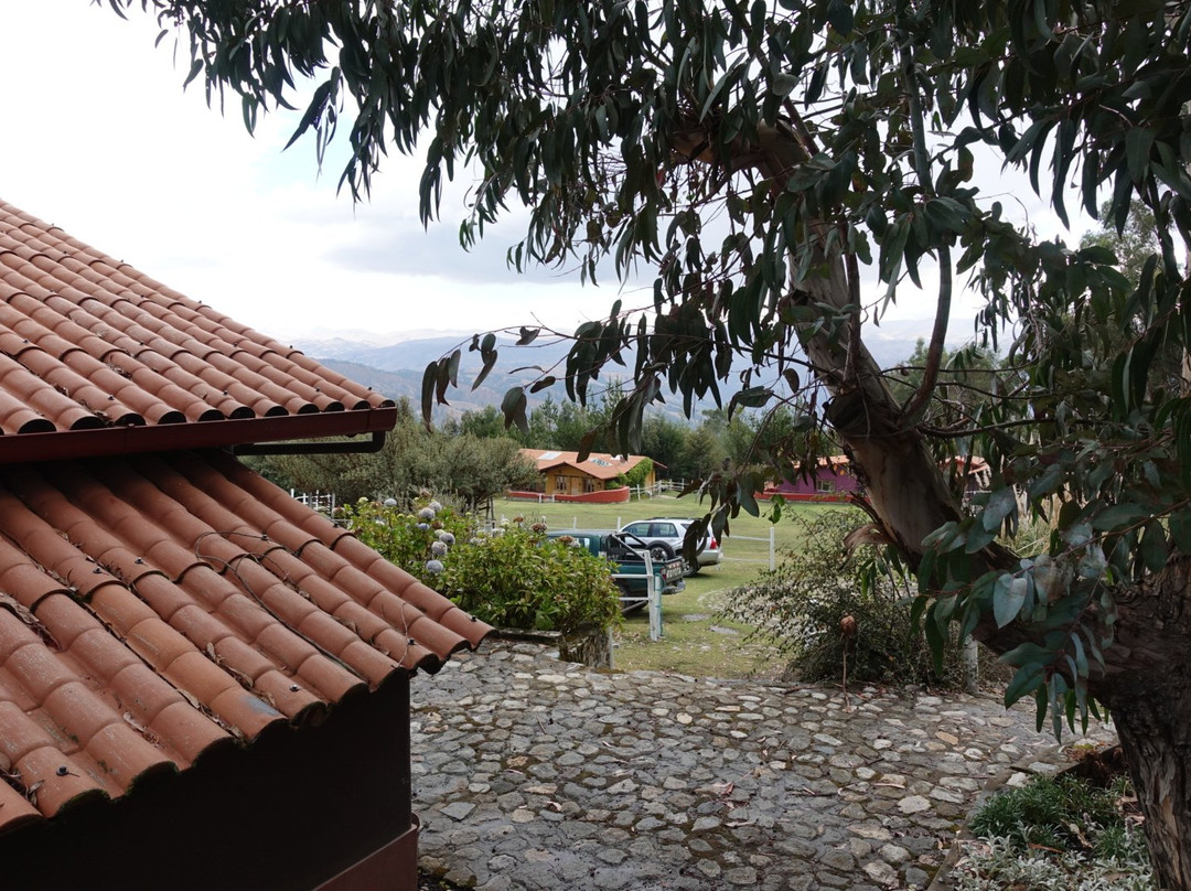 The Lazy Dog Inn a Mountain Lodge主图