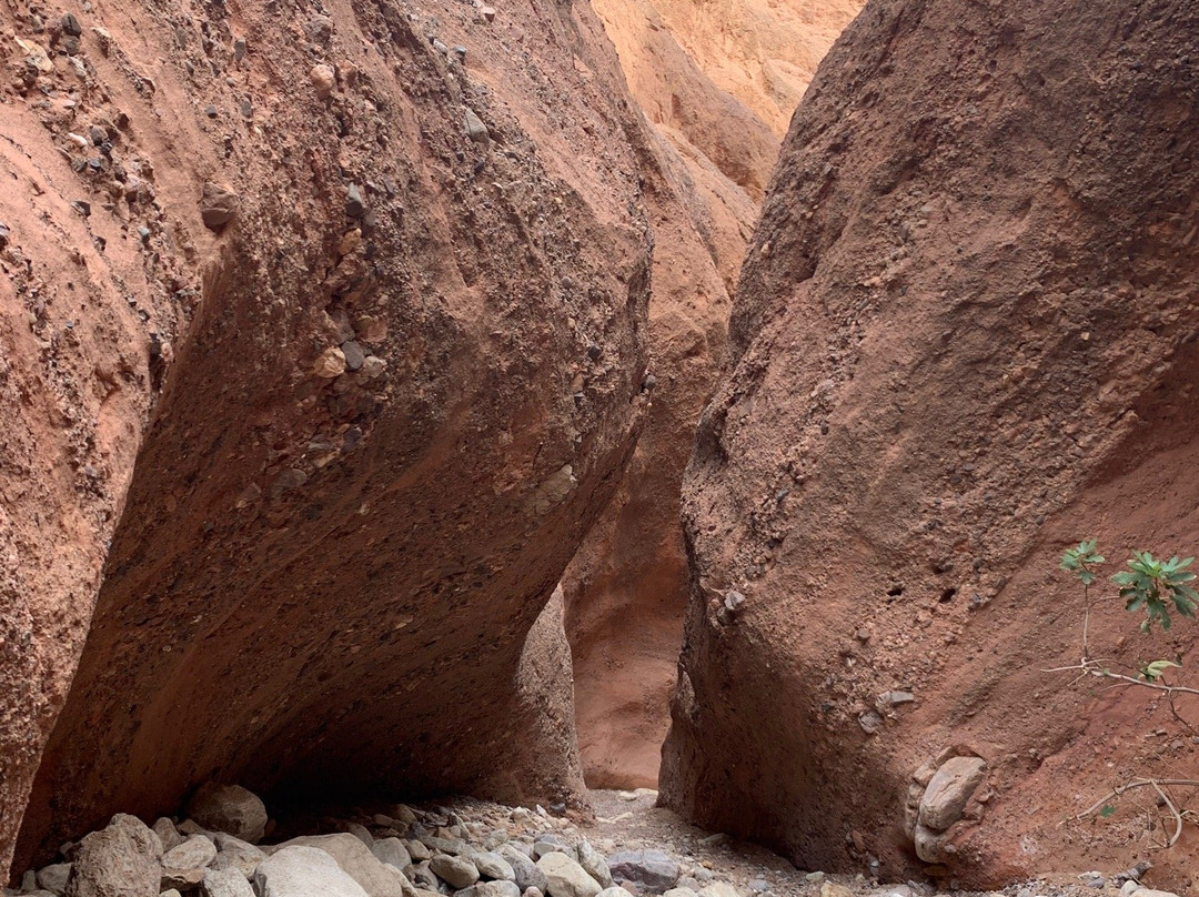 Activités In Monkey Fingers-Boumalne Dades必去景点