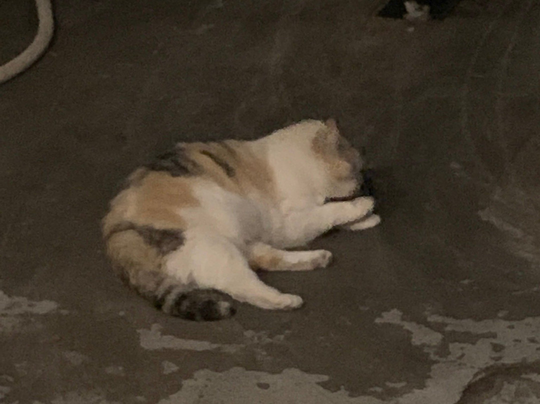 Hailstorm Brewing Co.-廷利公园必去景点