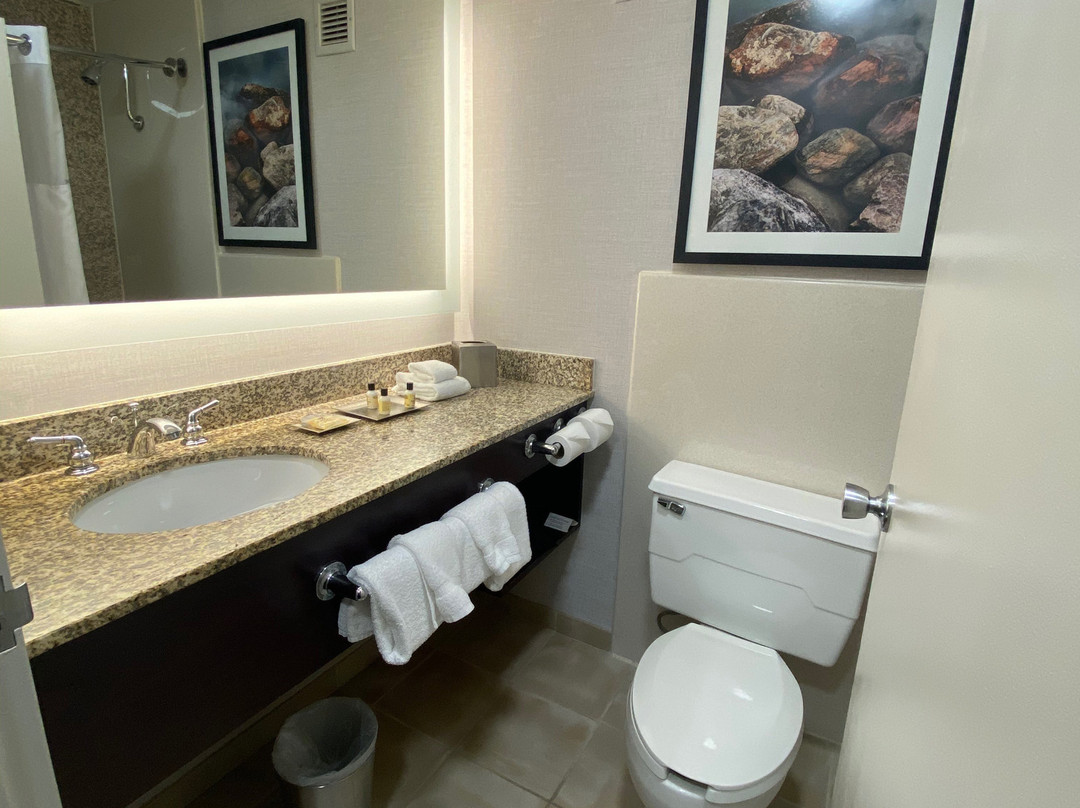 芝加哥奥黑尔温德姆酒店主图