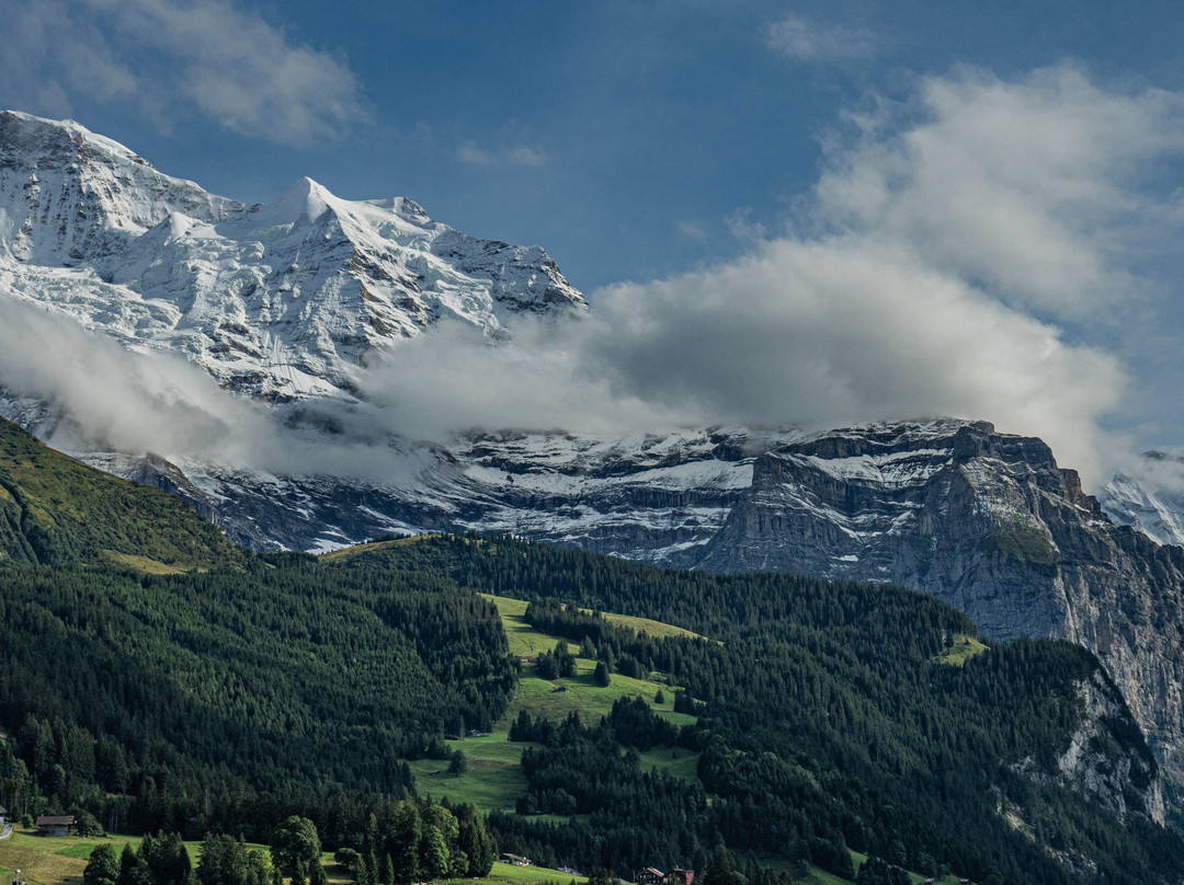 Hotel Jungfraublick Wengen主图