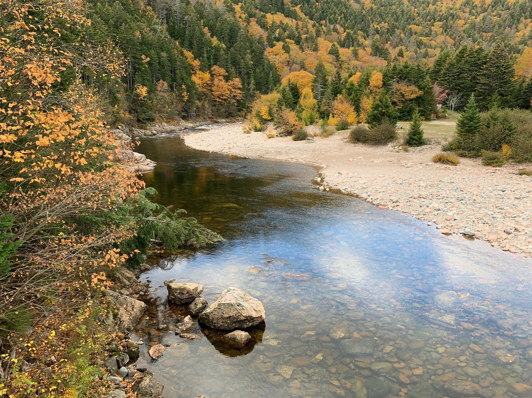 Go Fundy Tours-圣约翰必去景点