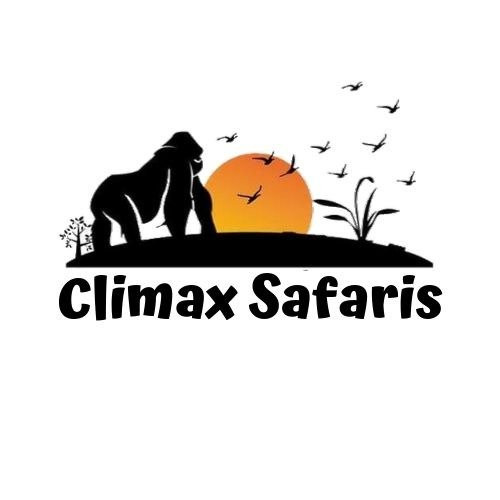 Climax Safaris景点图片