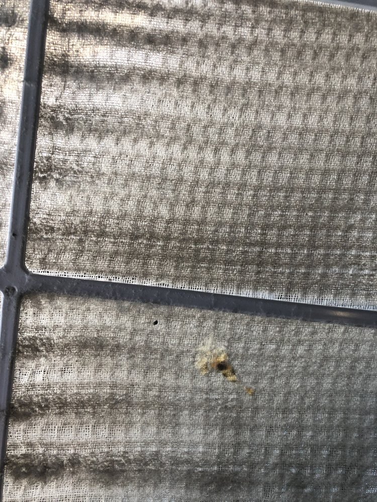 莱克湖温德姆速8酒店-浴室