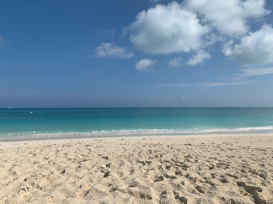 Tropical Shades-普罗维登西亚莱斯必去景点