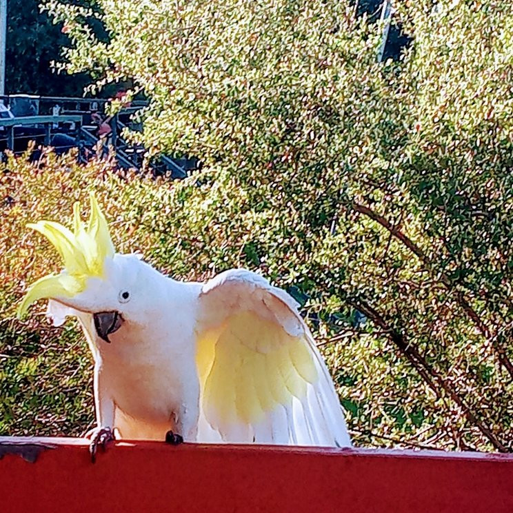 Grampians National Park-维多利亚必去景点