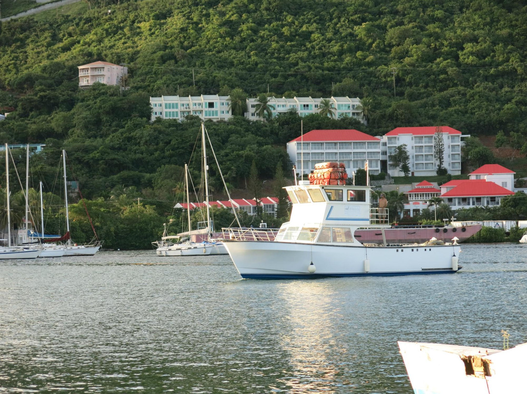 BVI Scuba Co景点图片